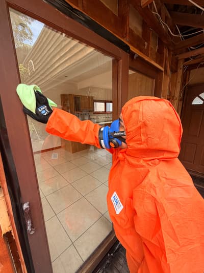 Lead-Based Paint Removal
